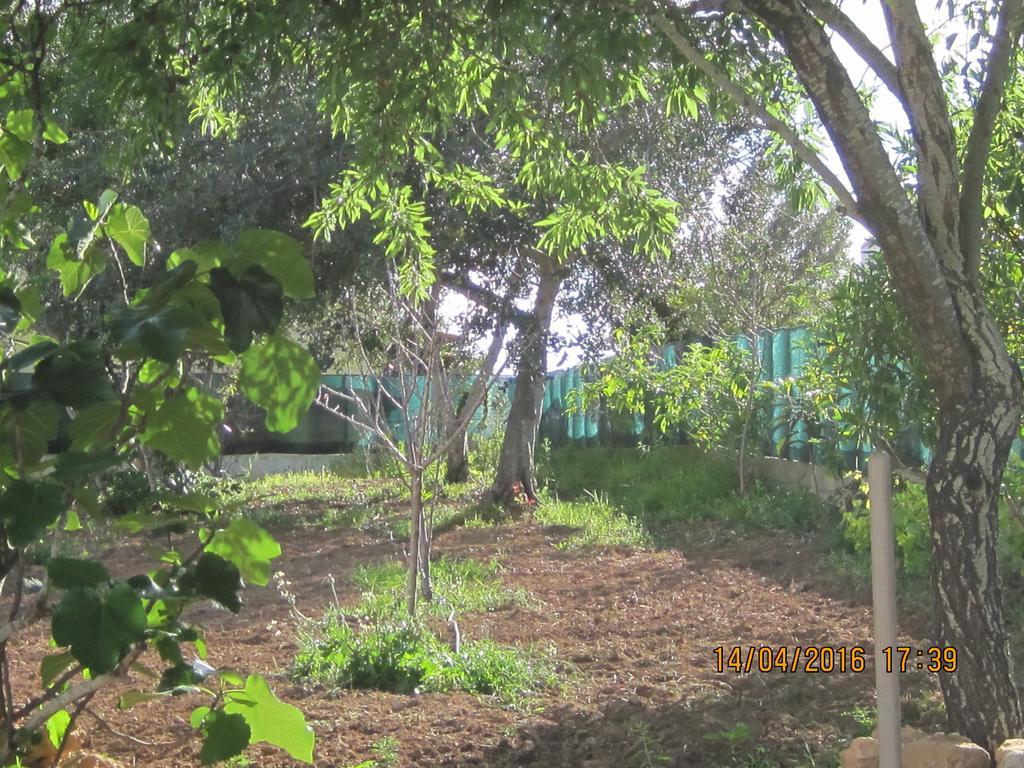 ホテル Quinta Da Fonte Em モンカラパッショ エクステリア 写真